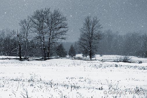 Snowstorm Snowscape_14246.jpg - Photographed near Carleton Place, Ontario, Canada.